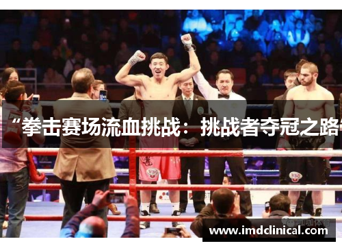 “拳击赛场流血挑战：挑战者夺冠之路”