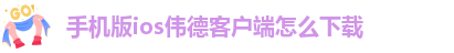 韦德电子有限公司